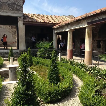 Domus